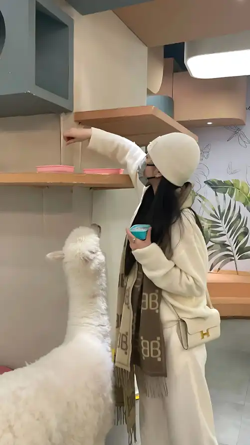 欧洲乱码伦视频免费_未来影院午夜理论片_天天躁日日躁狠狠躁aab
